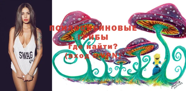 твердый Нея